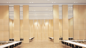 Different Types of Semi-Automatic Partitions Explained